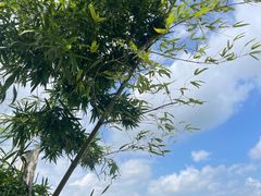 -东钱湖旅游度假区