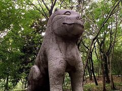 -菊花台公园