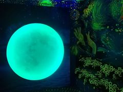 -天津梵高星空艺术馆(天河城旗舰店)