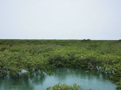 -北海金海湾红树林生态旅游区