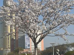 -泉城广场
