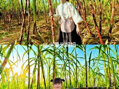 -汉长安城未央宫国家考古遗址公园