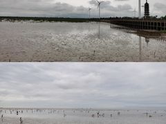 -奉贤海滩