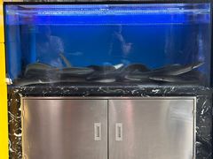 -西塔老太太泥炉烤肉(沈阳店)