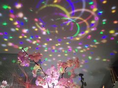 -忘忧草融合私房菜(红鼎国际店)