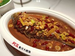 -阿五黄河大鲤鱼(纬三路店)