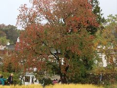 -塔川景区
