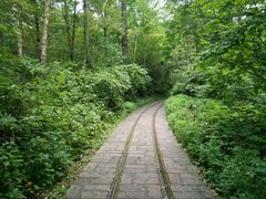 -五营红松林海景区