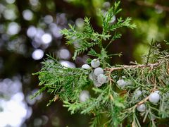 -莲池书院博物馆