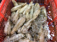 -大东海海鲜酒楼(渔人码头总店)