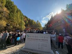 -苏木山森林公园