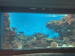 -鹿儿岛水族馆