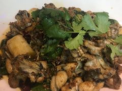 -石头咕(葵蓬店)