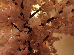 -樱之味精致料理融合餐厅