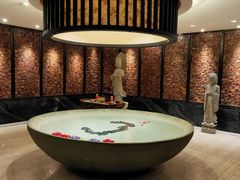 -明月山天沐温泉度假村