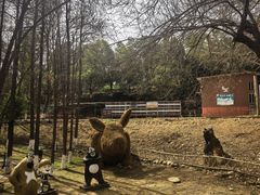 -张公山寨景区