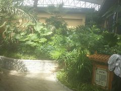 -郑州银基黄帝宫御温泉