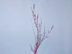 -西湖国宾馆·紫薇厅