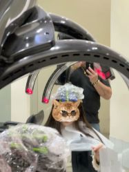 -WM Hair Salon