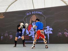 -M.S拳击泰拳馆(大学路店)