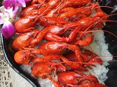 -龙虾风暴(松江店)
