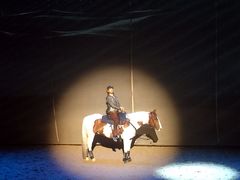 -cavalia·舞马