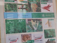 -广州神农草堂中医药博物馆