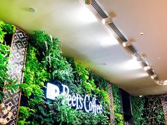 -Peet's Coffee皮爷咖啡(德基店)