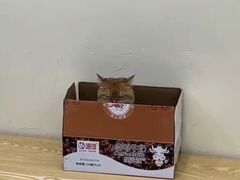 -美联众合动物医院·内科·皮肤科·外科(古城分院)
