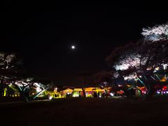 -真爱范特西KTV(交大店)