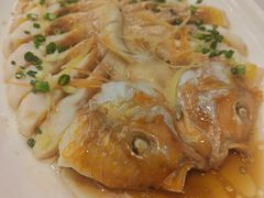 -骏莱海鲜鱼港(五角场店)