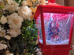 -LE SHARE洛笙·花园西餐(北京路步行街店)