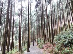 -雁荡山大龙湫景区