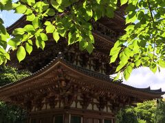-醍醐寺