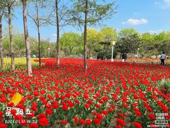 -郑州中国绿化博览园