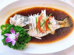 清蒸鲈鱼-小贝壳酒楼(经九路店)