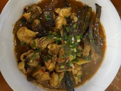 -全乐鱼馆·淳牌有机鱼直营店