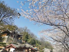 -南京城墙景区