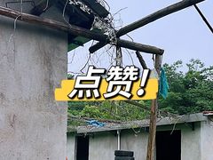 -东湖小天池真人CS彩弹野战基地