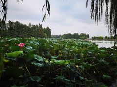 -湖滨客舍·湖北菜