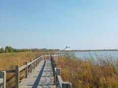 -呼兰河口湿地公园