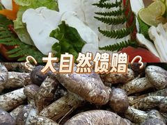 -三锅莊·牦牛肉火锅·香格里拉特色藏餐宴请餐厅(昆明创始店)