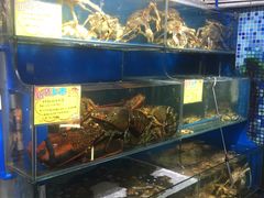水产区-蚝专家(北滘店)