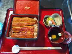 -料亭菊水楼