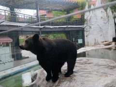 -灵玲国际马戏城