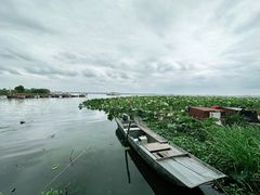 -莲花岛景区