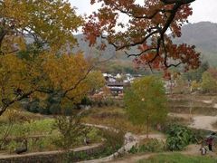 -塔川景区