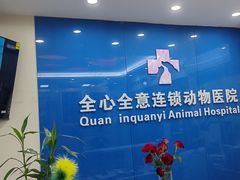 -全心全意连锁动物医院·微创中心·内科急重症·心脏专科(丰管路店)
