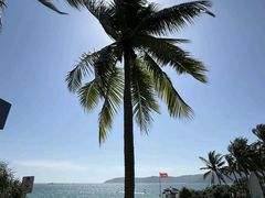 -白云中餐厅·粤菜·亚龙湾喜来登度假酒店