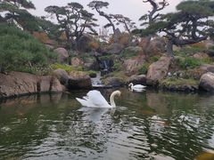 -罗红摄影艺术馆